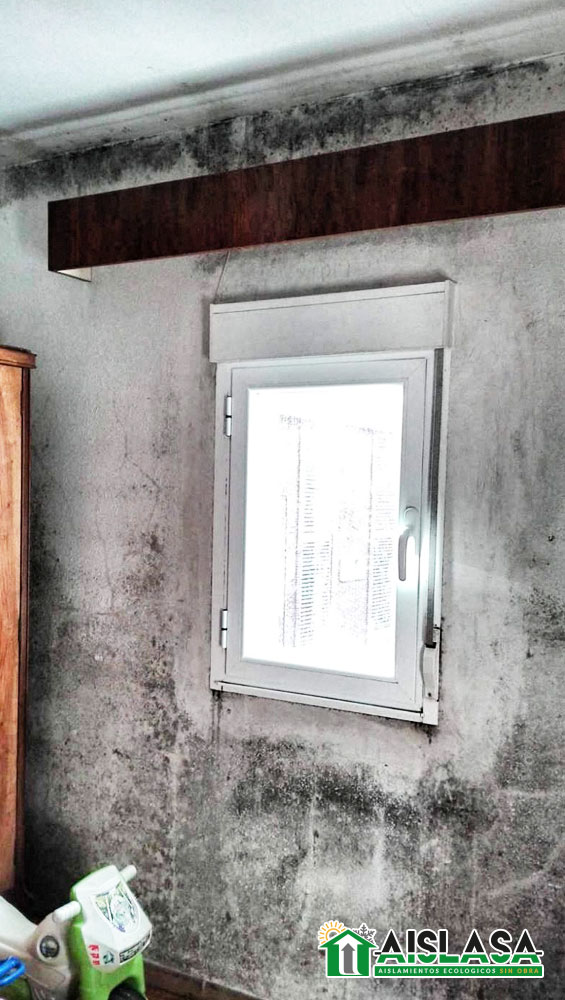 Imagen de muestra Aislasa trabajando